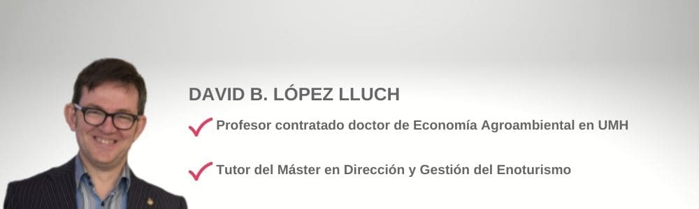 David B. López Lluch