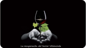La recuperación del sector del vino