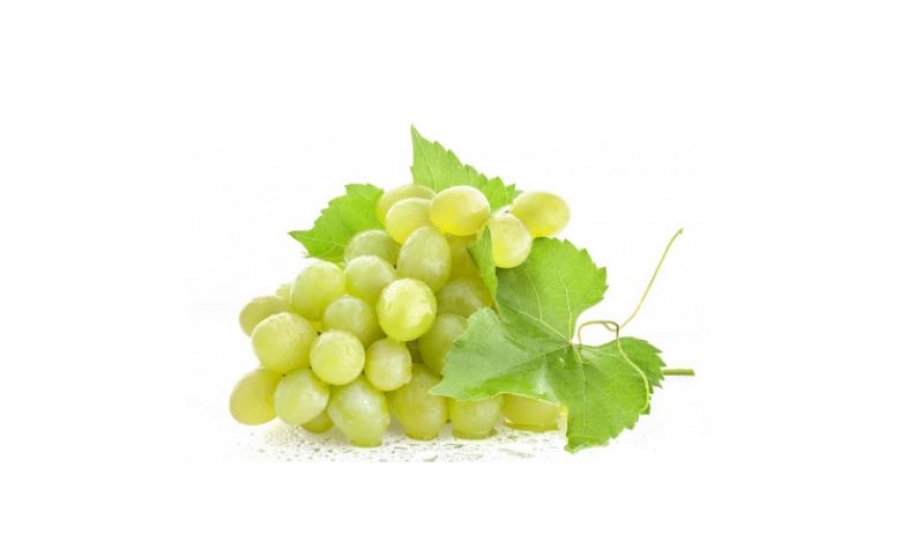Variedades básicas de uva blanca en el resto del mundo