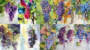 Las variedades de uvas en España (La uva tinta)