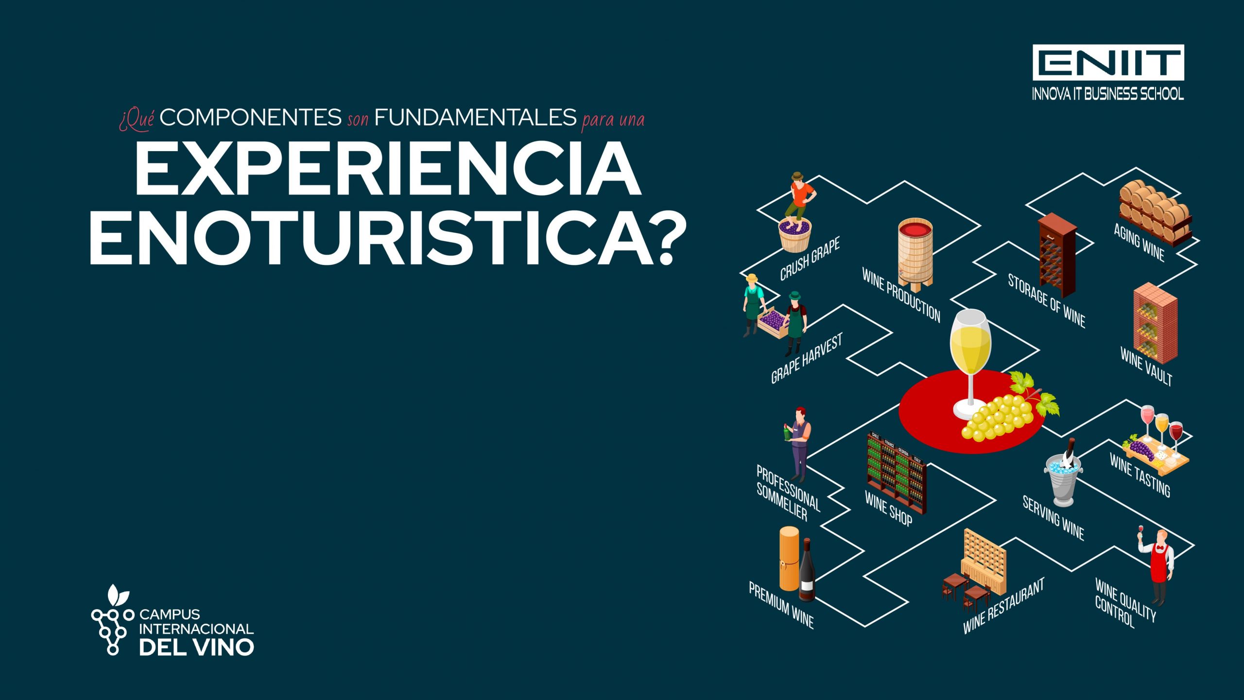 ¿Qué componentes son fundamentales para una experiencia enoturística?