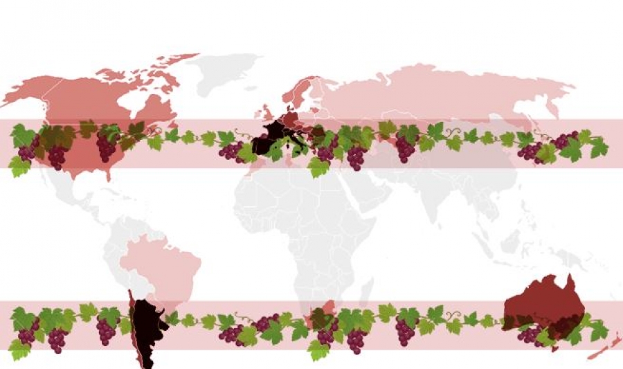 Factores Geográficos del Viñedo