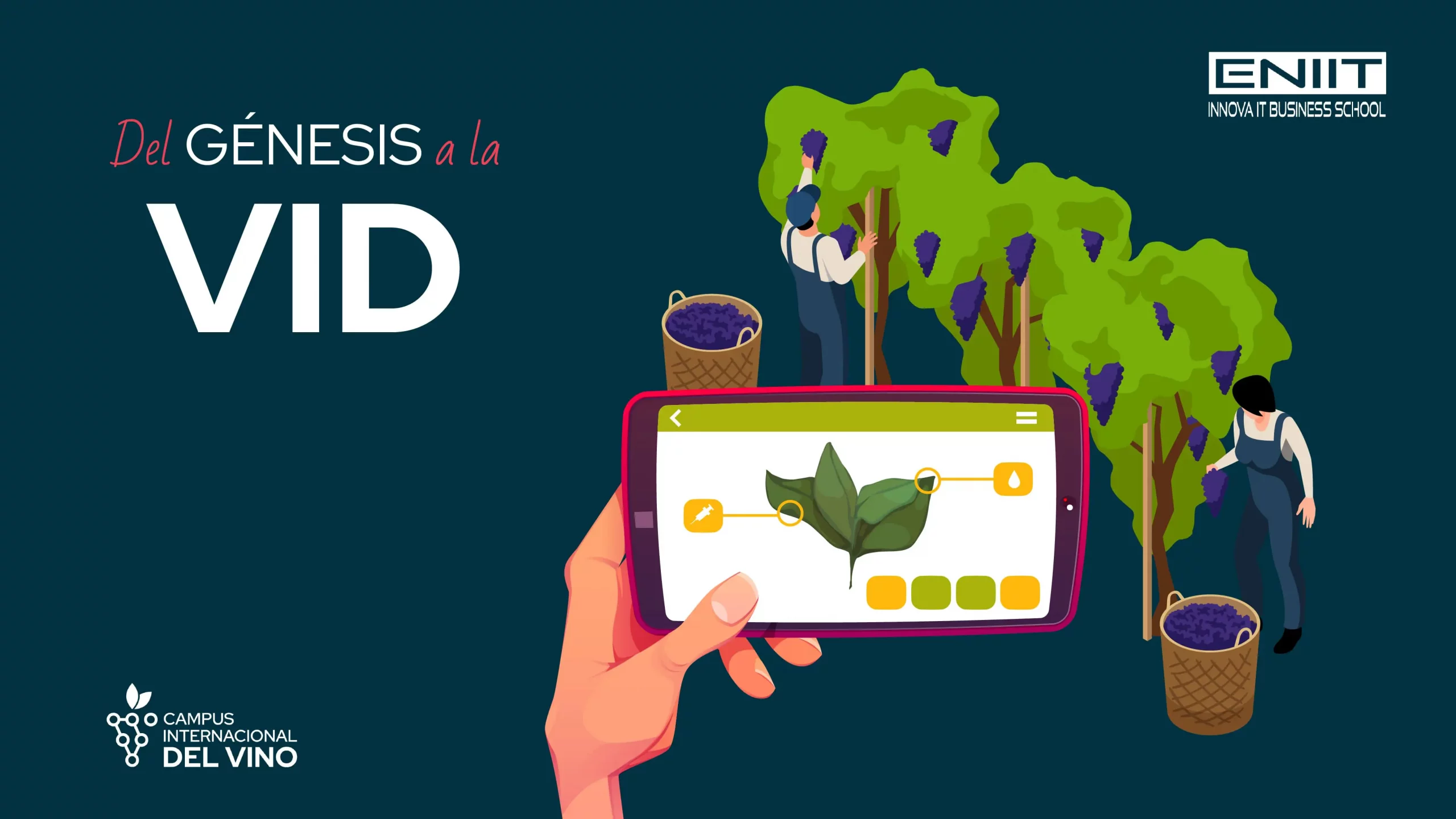 El génesis de la vid y su historia