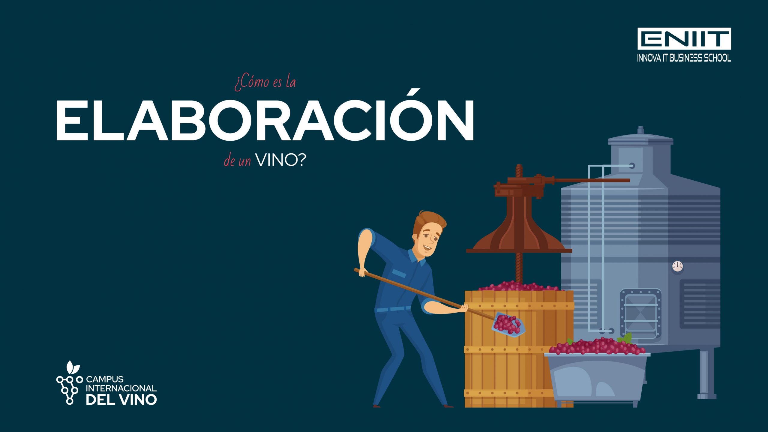 ¿Cómo es la elaboración de un vino?
