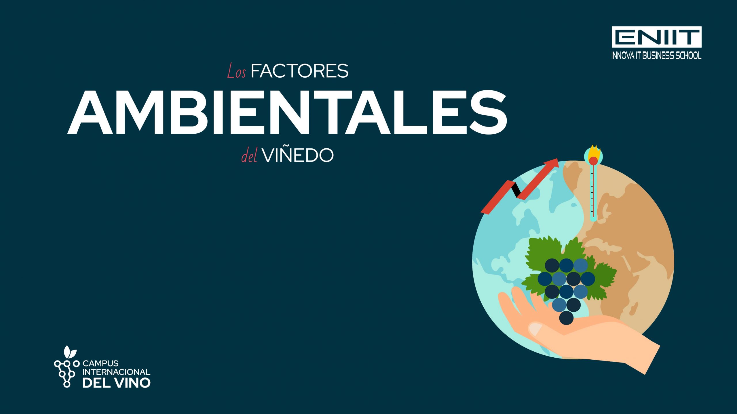 Los factores ambientales del viñedo