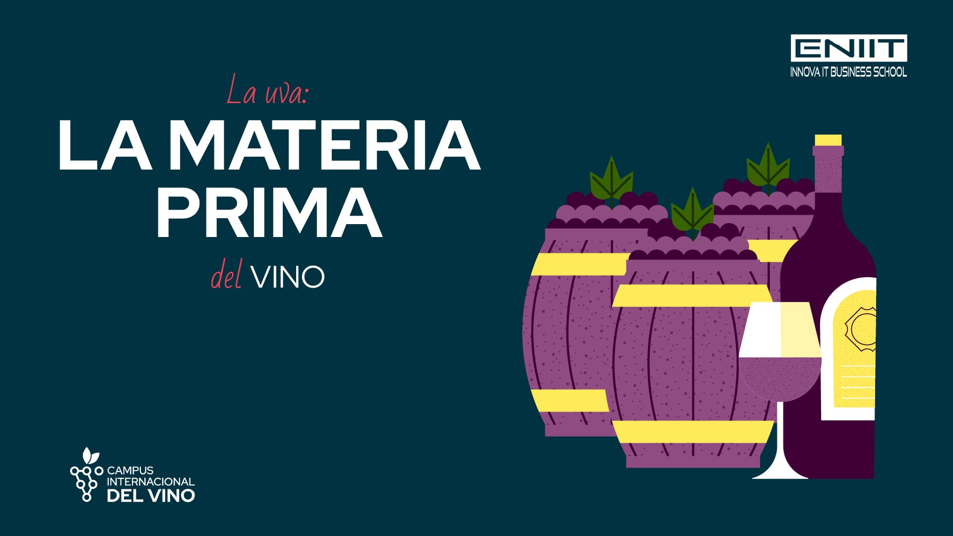 La uva. la materia prima del vino