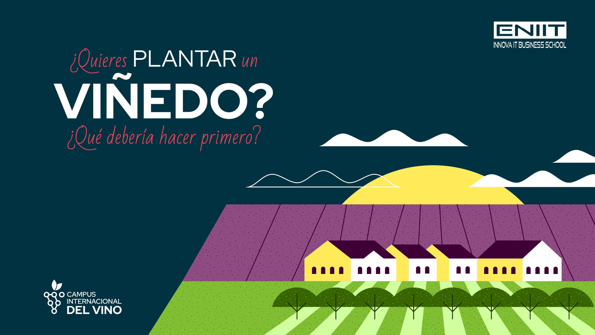 ¿Quieres plantar un viñedo? ¿Qué deberías hacer primero?