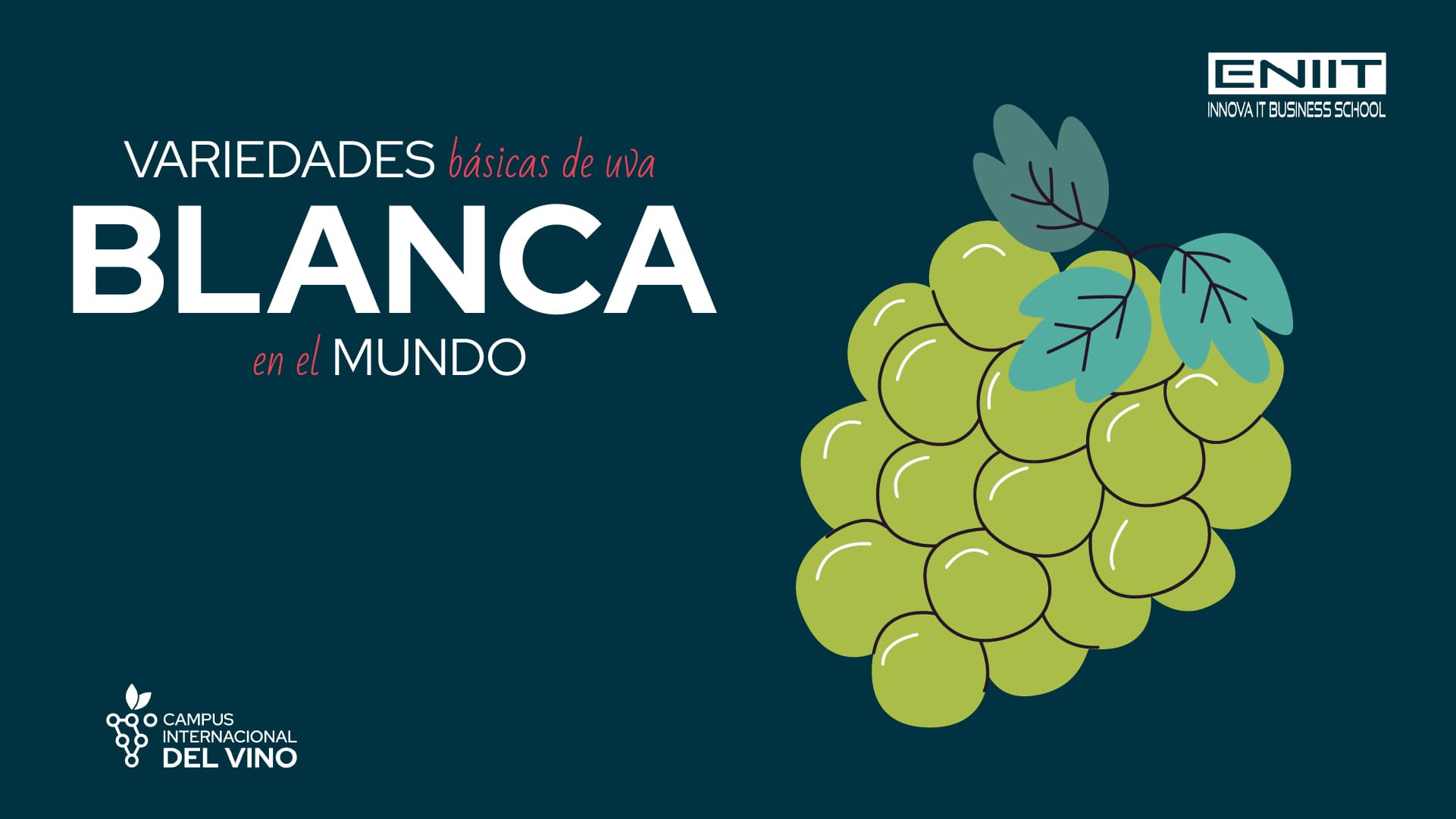 Variedades básicas de uva blanca en el mundo