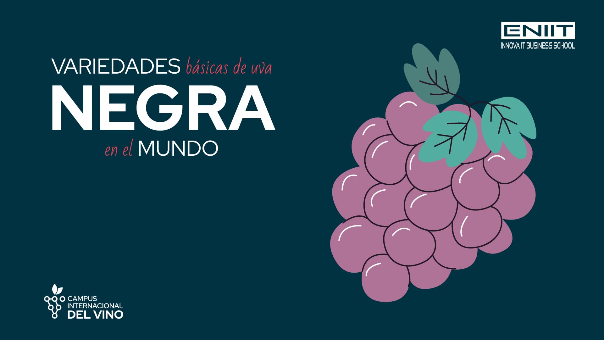 Variedades básicas de uva negra en el mundo