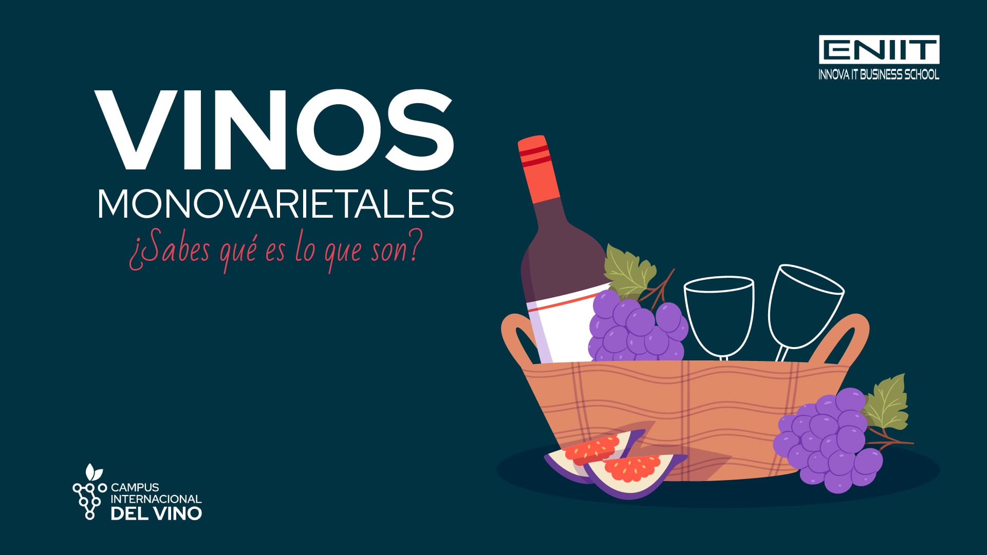 Vinos monovarietales ¿Sabes qué es lo que son?