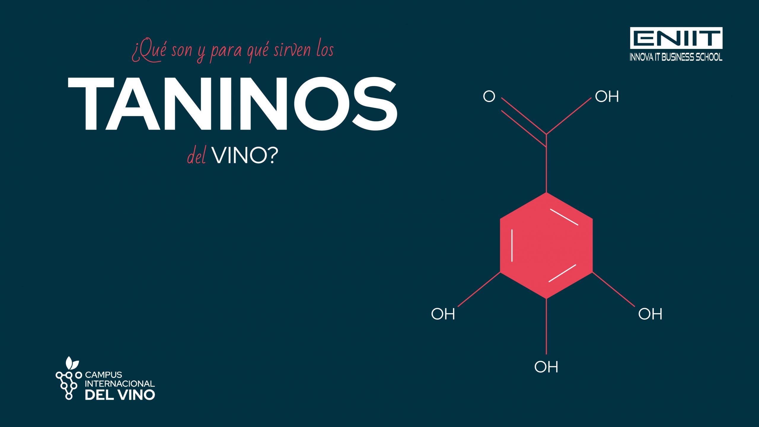 ¿Qué son y para qué sirven los taninos del vino?