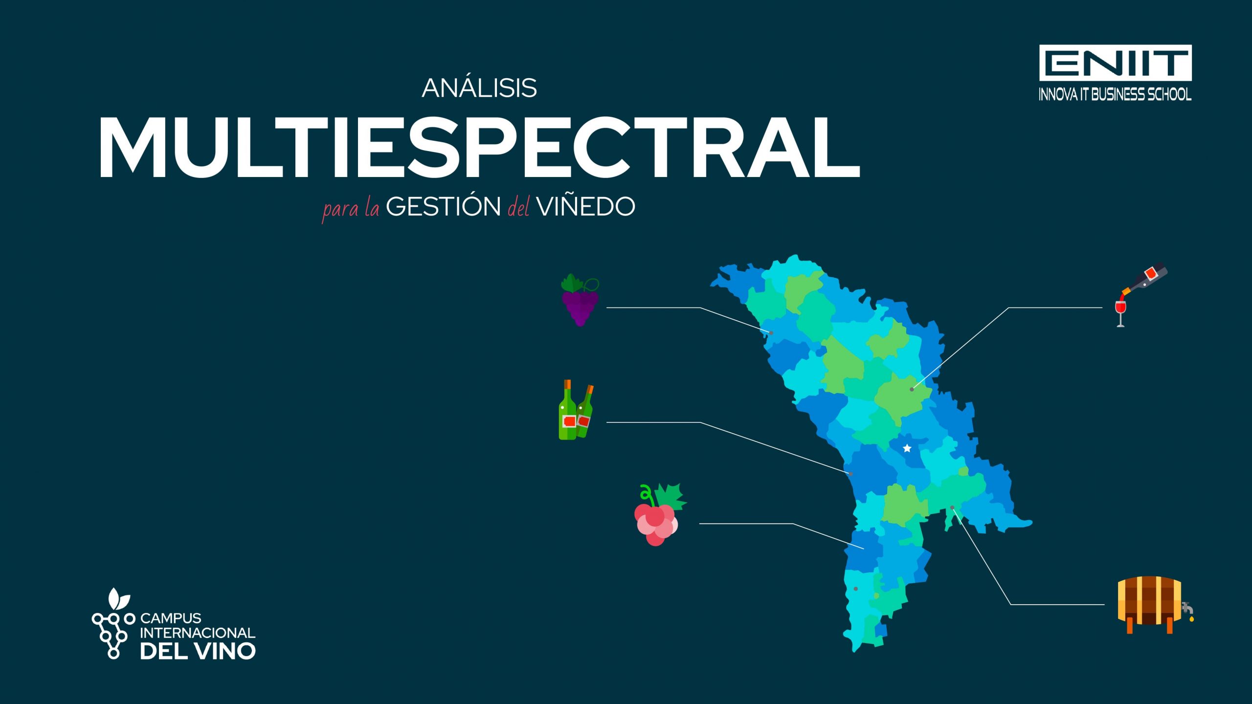 Análisis multiespectral en viñedos qué es y para qué sirve