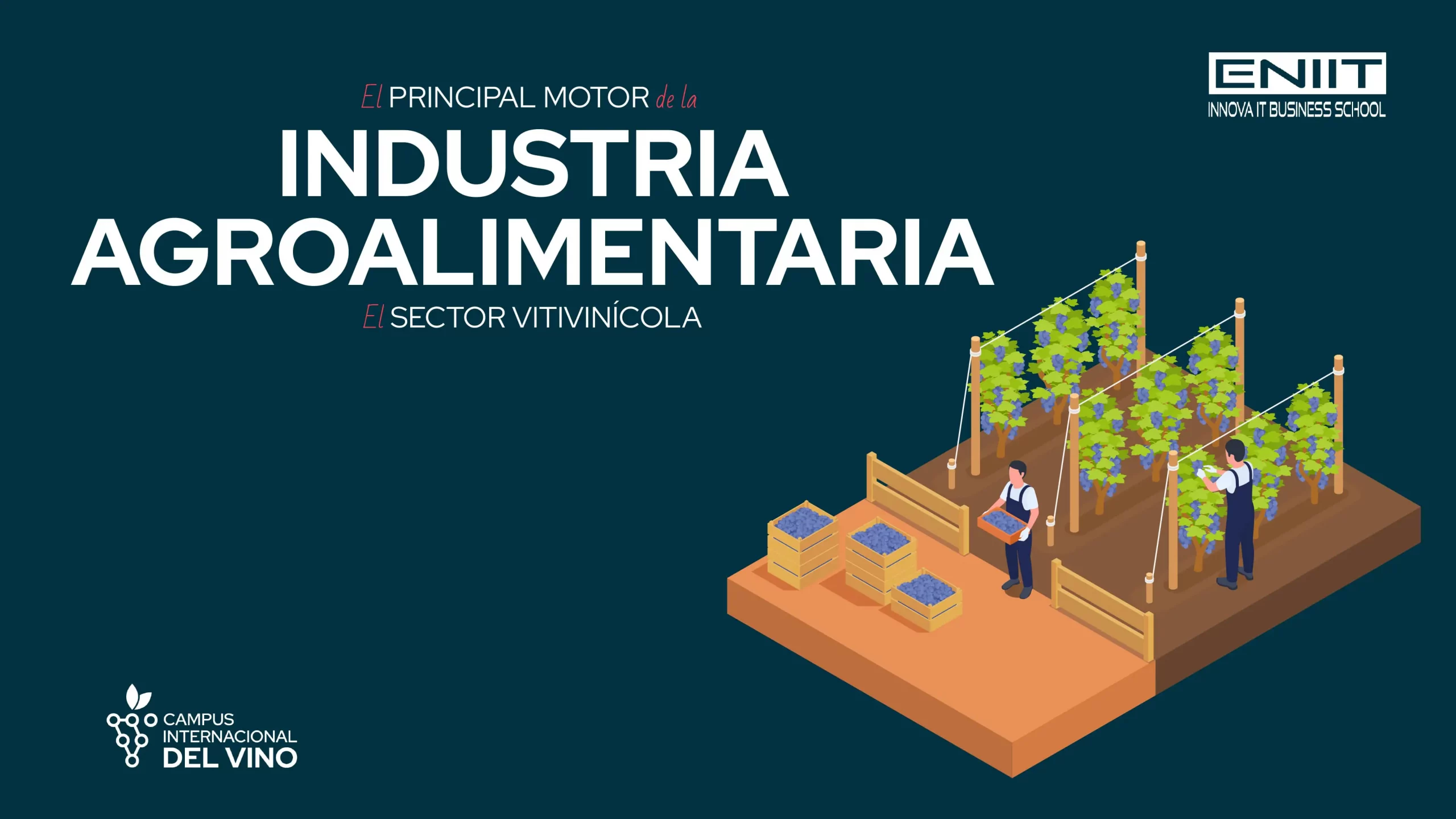 Sector vitivinícola clave en la industria agroalimentaria