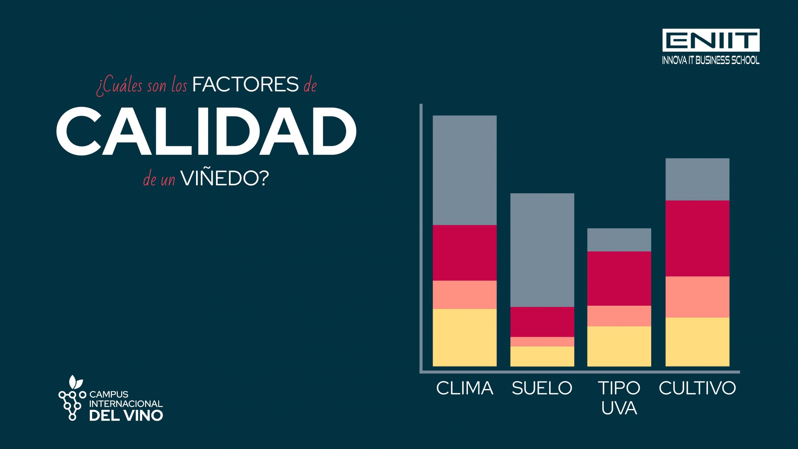 ¿Cuáles son los factores de calidad de un viñedo?