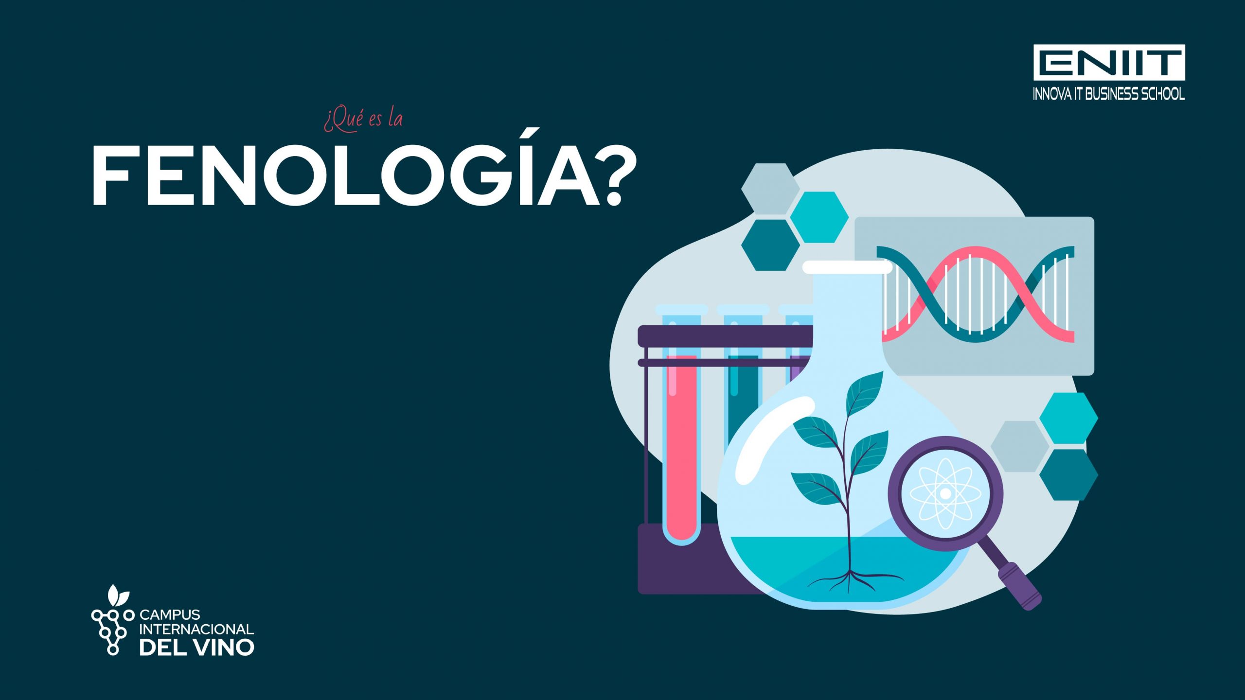 Qué es la fenología y cómo influye en los cultivos