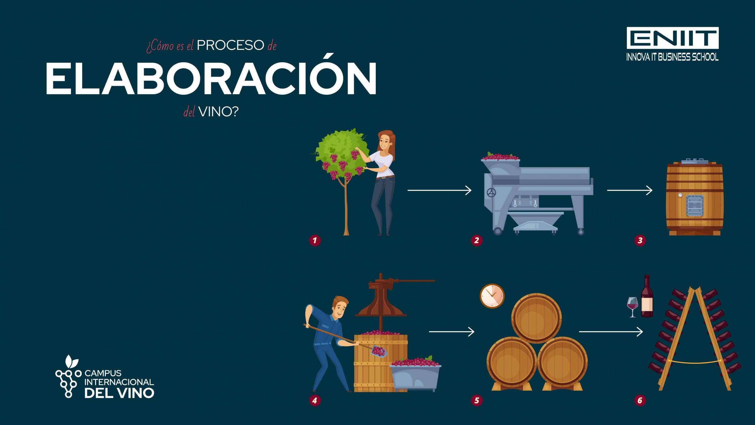 ¿Cómo es el proceso de elaboración del vino?
