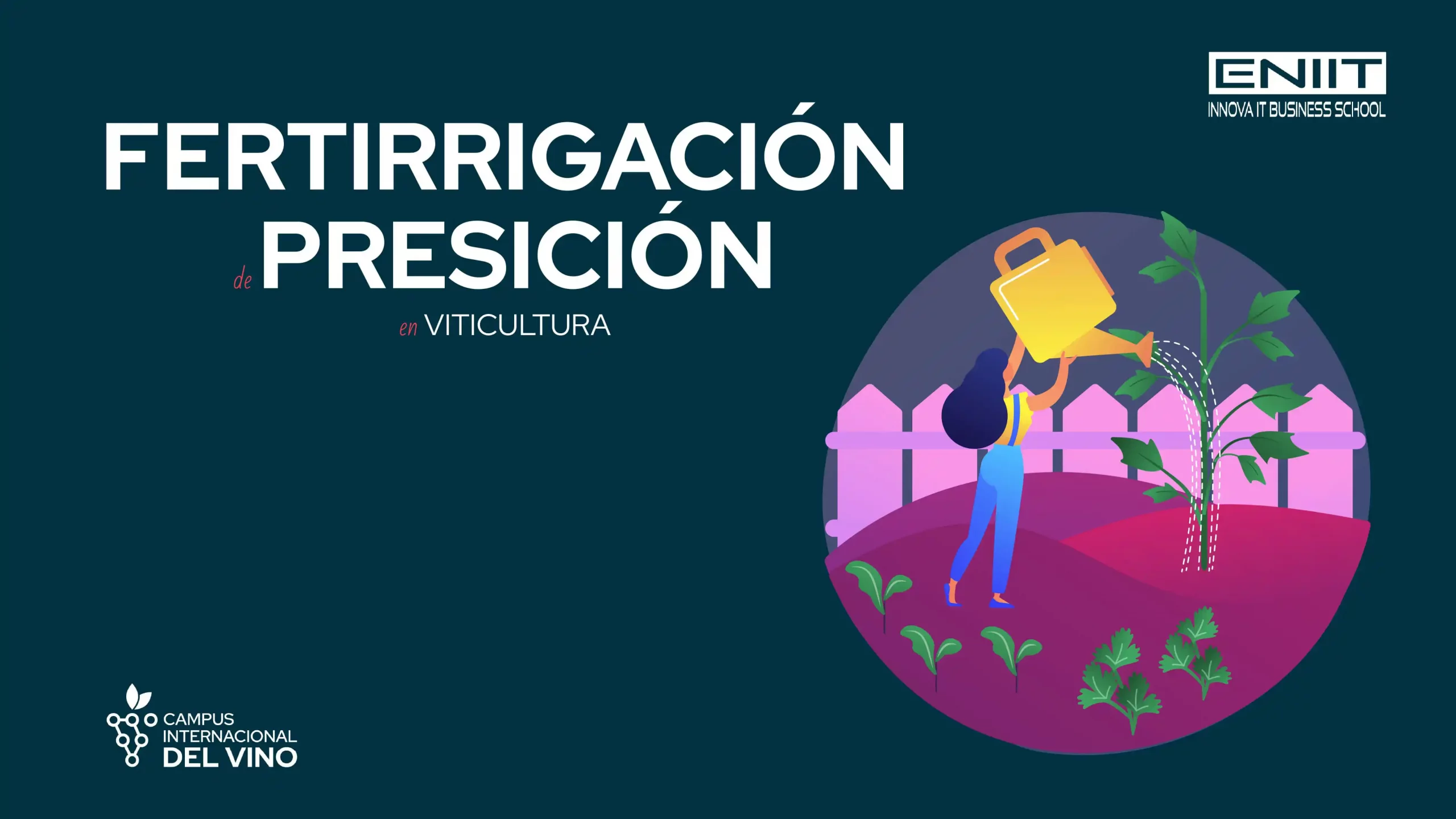 Fertirrigación de precisión en viticultura